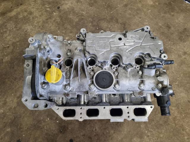 RENAULT K4M606 Двигатель в наличии Черкассы