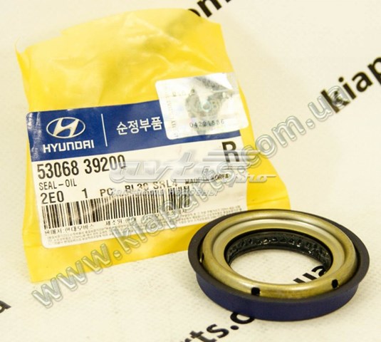 Hyundai kia 5306839200