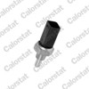 Датчик температуры ОЖ WS2602 VERNET