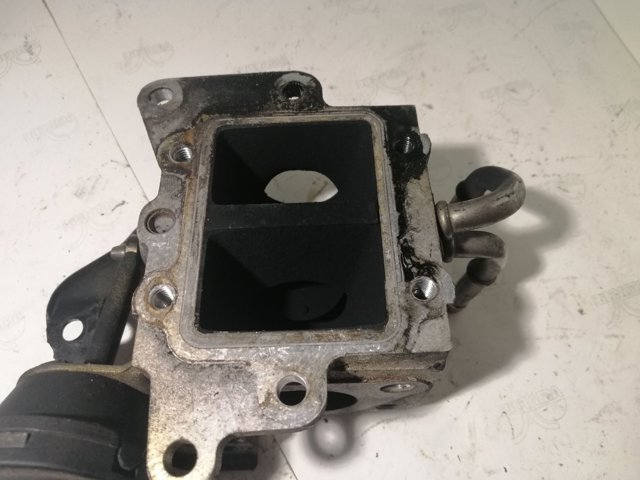 03G131063B Регулирующая заслонка EGR купить Черновцы