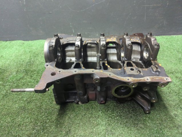 RENAULT 110104767R Блок цилиндров двигателя в наличии Ирпень