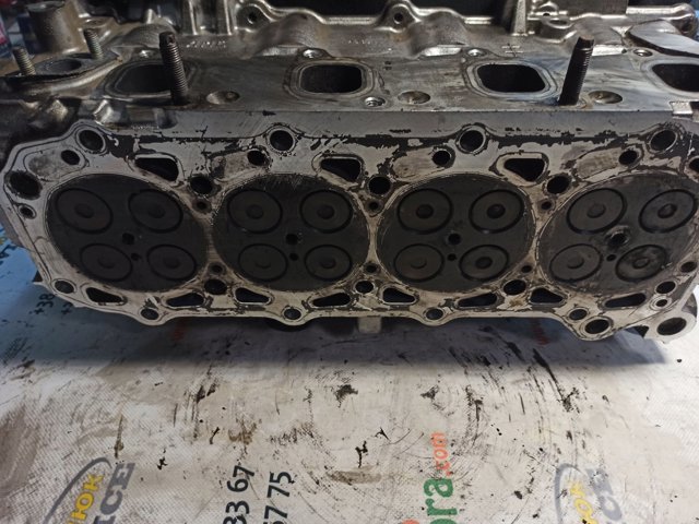 11039MA70A NISSAN Головка блока цилиндров (ГБЦ) купить в Одесса