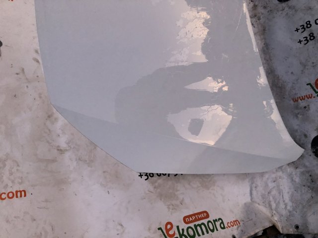 VAG 1T0823031Q Капот в наличии Запорожье