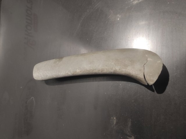 1U08671975SE VAG купить в Житомир