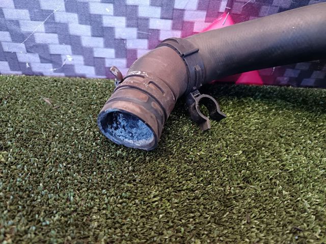 21503CA000 NISSAN Нижний шлаг радиатора охлаждения купить в Ровно