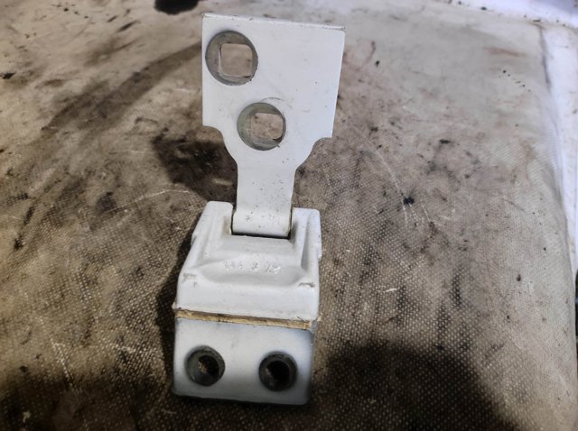 Петля двери задней (распашной) правая нижняя 5029591 FORD