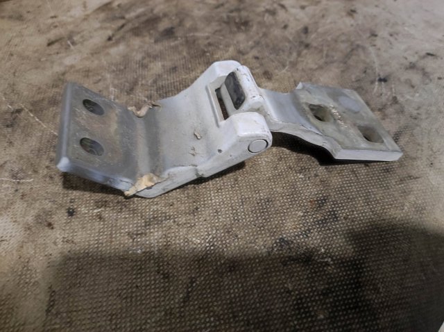 FORD 5029591 Петля двери задней (распашной) правая нижняя в наличии Днепр
