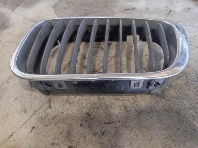 BMW 51138208490 Решетка радиатора правая в наличии Ужгород