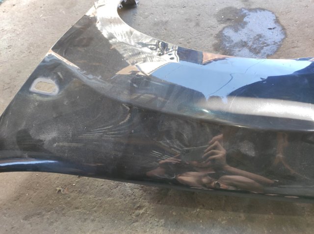 631010135R RENAULT Крыло переднее левое купить в Николаев