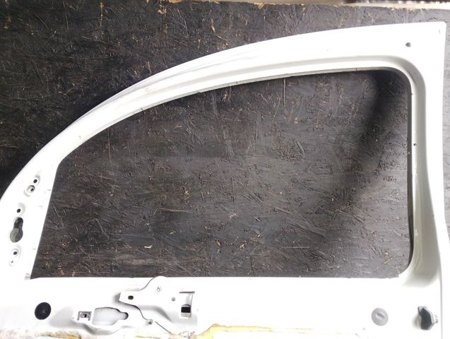 801004113R RENAULT Дверь передняя правая купить в Павлоград
