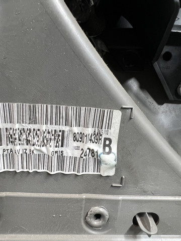 RENAULT 809010439R в наличии Кривой Рог