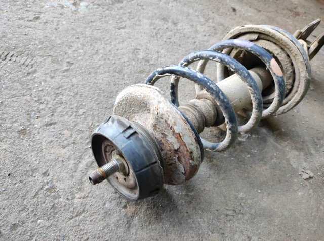 8200675686 RENAULT Амортизатор передний купить в Одесса