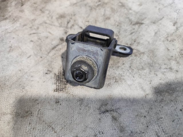 RENAULT 844002579R Петля задней двери в наличии Черновцы