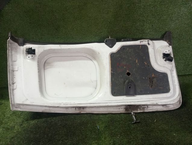 Дверь фургона задняя, распашная, правая 901005956R RENAULT