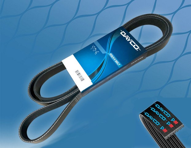 DAYCO 6PK1555 Ремень агрегатов приводной в наличии Днепр