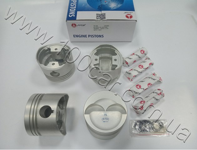 Поршень в комплекте на 1 цилиндр, STD PXSEN4F4125000 AMP