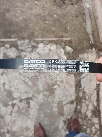 4PK855 DAYCO Ремень генератора купить в Львов