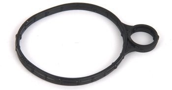 Прокладка вакуумного насоса 5205980 FORD