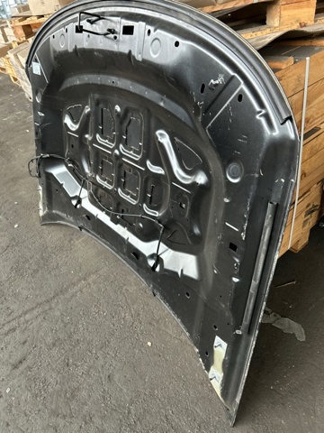 LB5Z16612A Капот купить Кривой Рог
