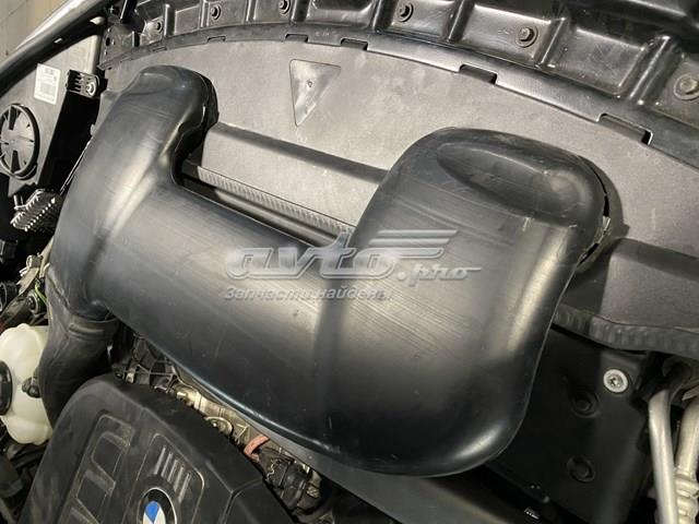BMW 13718570289 Воздухозаборник воздушного фильтра в наличии Днепр