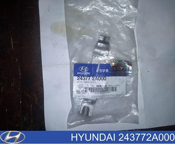 243772A000 HYUNDAI Успокоитель цепи ГРМ, левый купить в Николаев