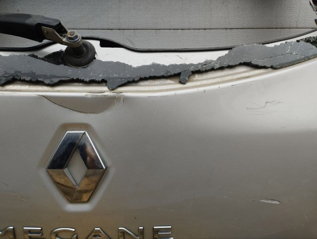 RENAULT 901002517R Дверь задняя (багажная 3/5-я (ляда) в наличии Ужгород