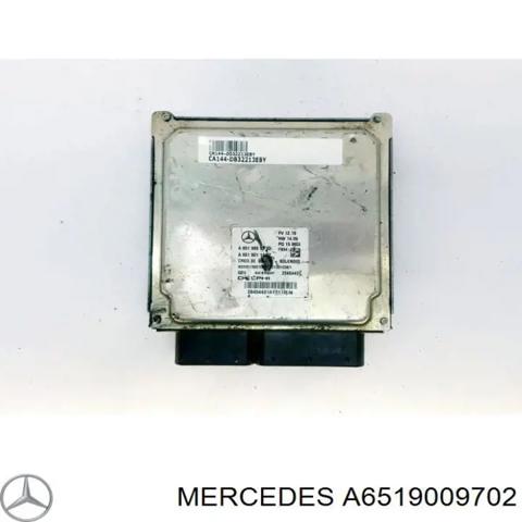 Модуль управления двигателем A6519009702 MERCEDES