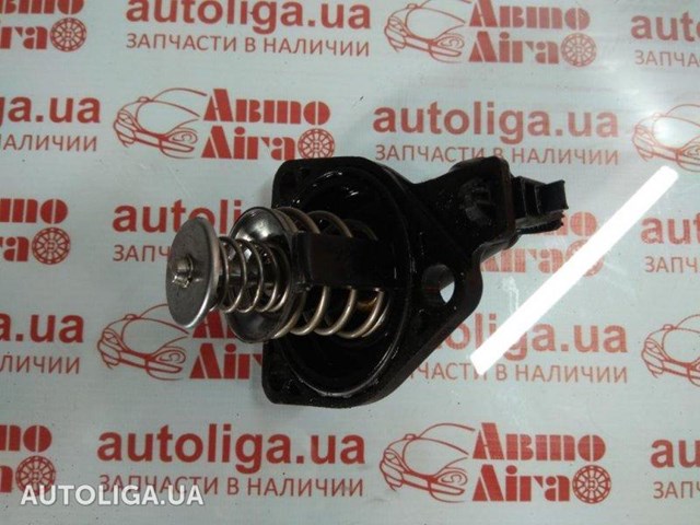 19301RAF003 Термостат купить Чернигов