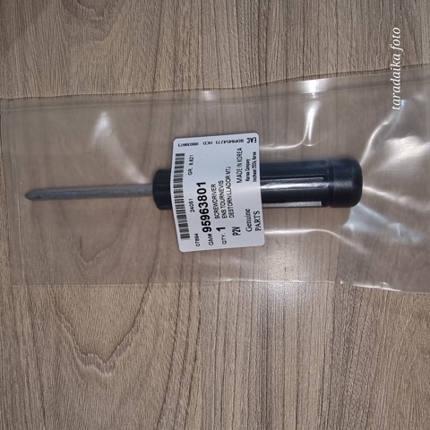 GM 95963801 в наличии Запорожье