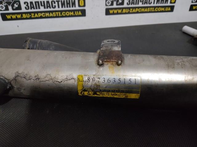 8973635151 OPEL купить в Житомир