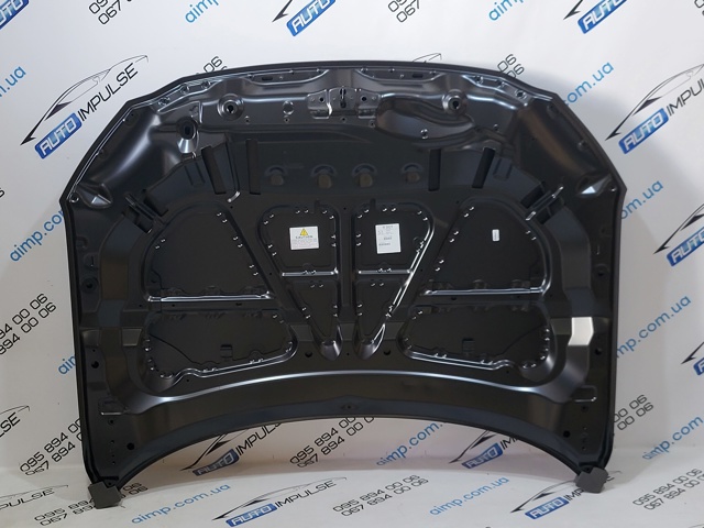 POLCAR 45L103 Капот в наличии Чернигов