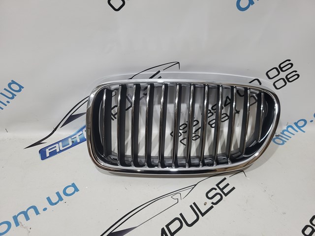 Решетка радиатора левая 51137203649 BMW