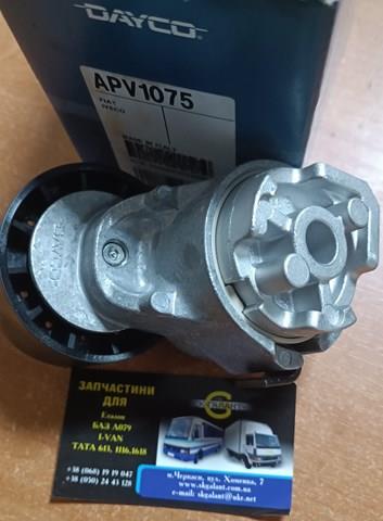 DAYCO APV1075 Натяжитель приводного ремня в наличии Ужгород