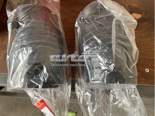 17228RYEA10 HONDA купить в Черновцы