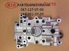 Корпус балансировочного механизма 233002G400 HYUNDAI