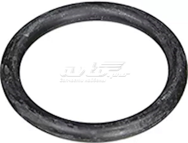 Кольцо уплотнительное системы охлаждения 4884873AA CHRYSLER