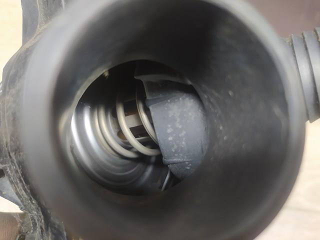 11537536655 Термостат купить Павлоград