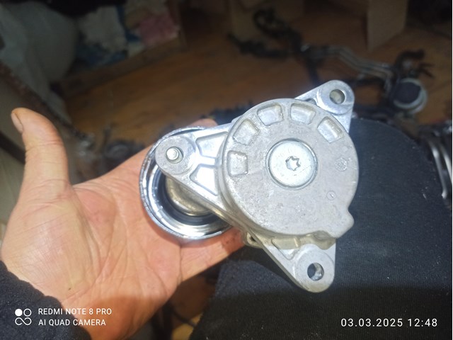 119555X21B Ролик ГРМ купить Павлоград