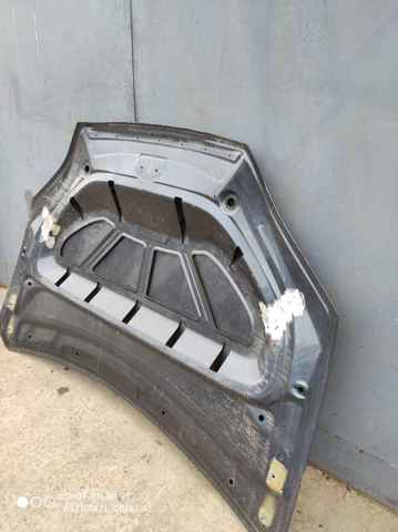 1069531E0B TESLA Капот купить в Ровно