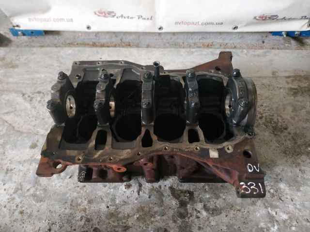 RENAULT 110103691R Блок цилиндров двигателя в наличии Ровно