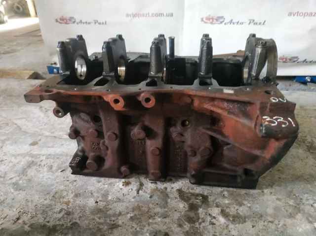 RENAULT 110103691R Блок цилиндров двигателя в наличии Кривой Рог
