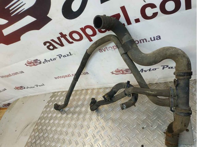 215031595R RENAULT Нижний шлаг радиатора охлаждения купить в Тернополь