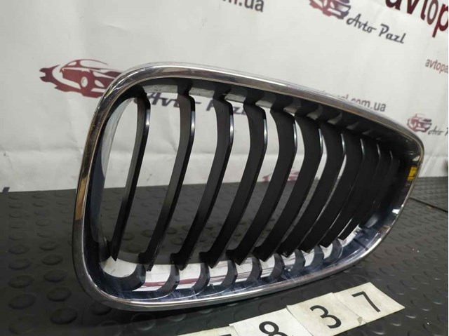 BMW 51137294805 Решетка радиатора в наличии Тернополь