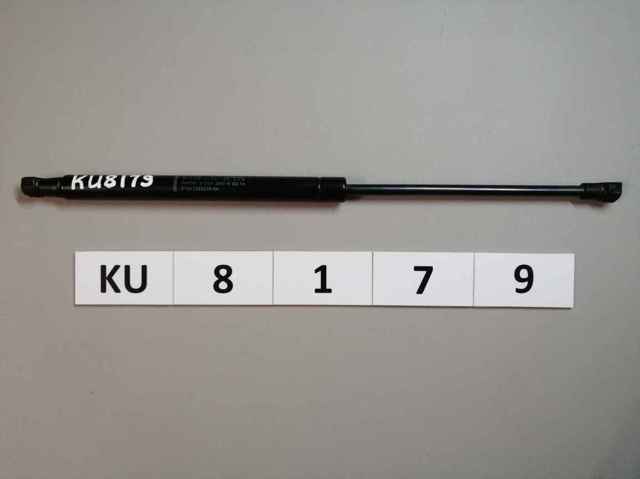 Амортизатор двери багажника 51247295205 BMW