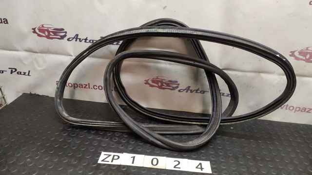 51767301846 BMW Уплотнитель двери передней левой (на двери) купить в Одесса