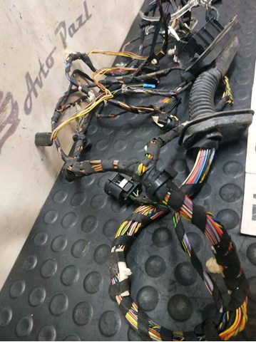 61129252388 BMW Жгут проводов передней двери купить в Полтава