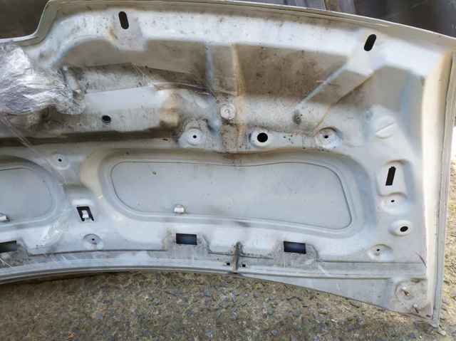 RENAULT 651009963R Капот в наличии Киев