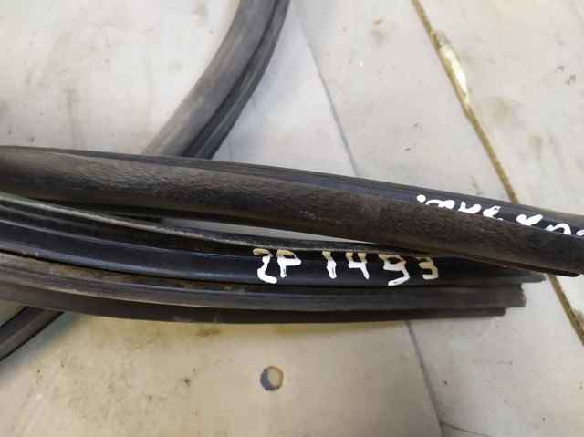 Прокладка двери задней, правой (на кузове) 769230024R RENAULT