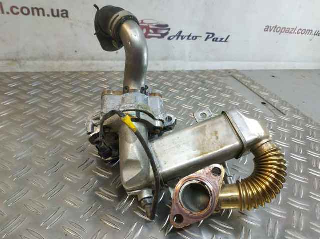 8201068965 RENAULT купить в Ужгород