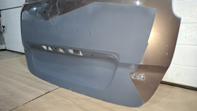 901006104R RENAULT Ляда купить в Чернигов